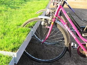 在這樣的自行車(chē)道,騎一輛共享單車(chē),小憩在有趣的車(chē)位間