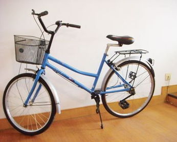 自行車百元身價(jià)沒(méi)變